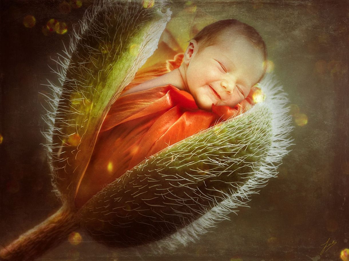 Foto de bebé dentro de flor